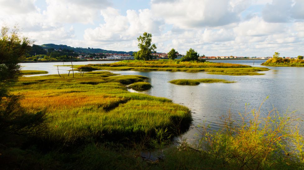 rio bidasoa