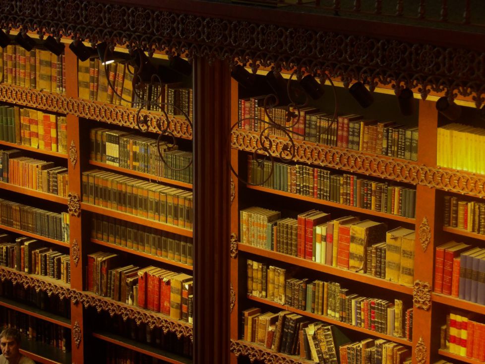 Sabiduría e imaginación 