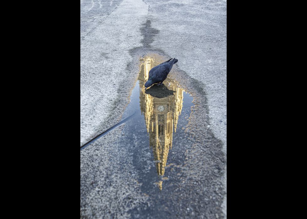 El sabor de la catedral.