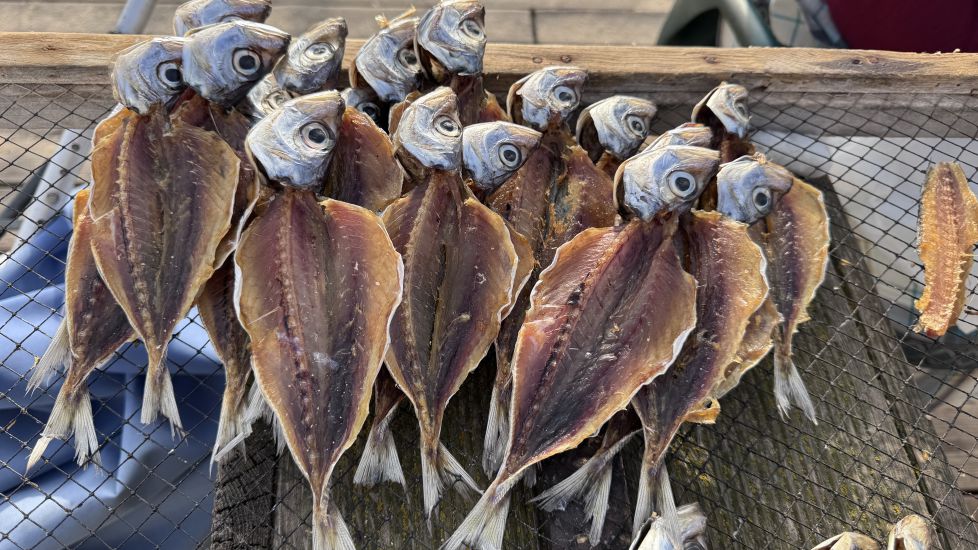 Sinfonía de pescado al sol
