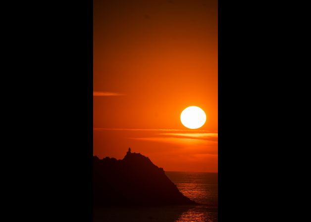 Sol que envuelve el ratón de Getario.