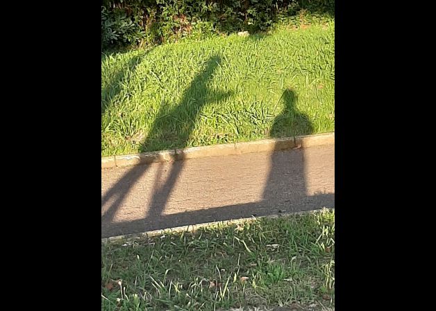 Sombras en el parque
