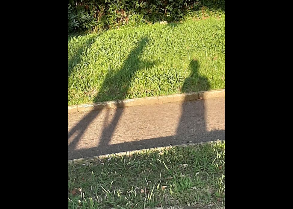 Sombras en el parque