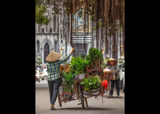 TIENDA DE JARDÍN MÓVIL