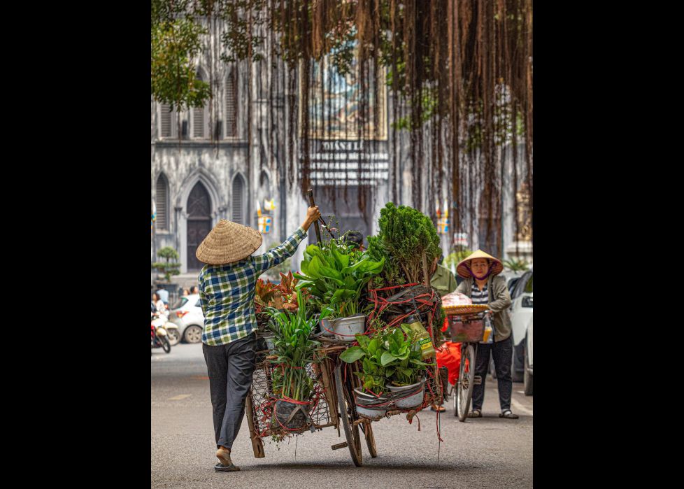 TIENDA DE JARDÍN MÓVIL