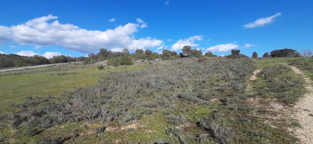 Una aridez muy bella.