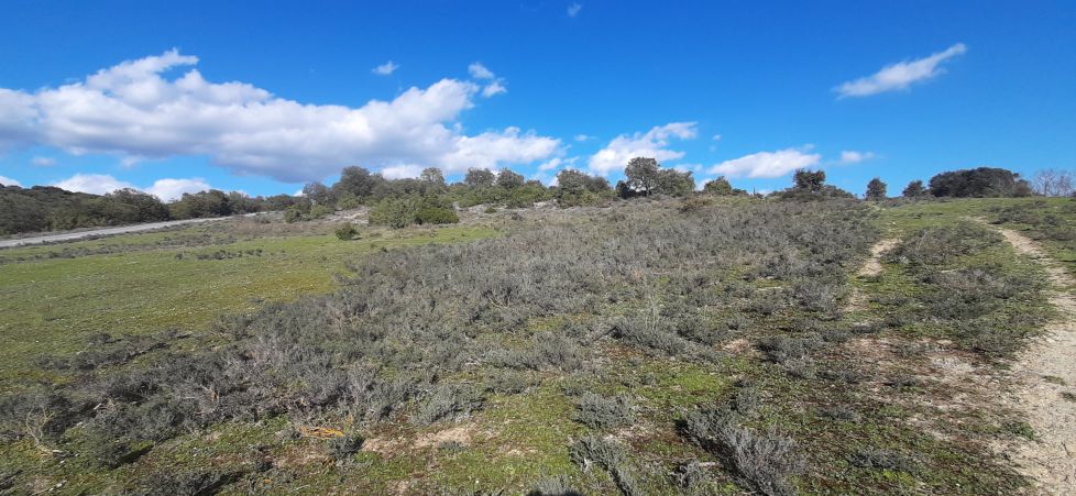 Una aridez muy bella.