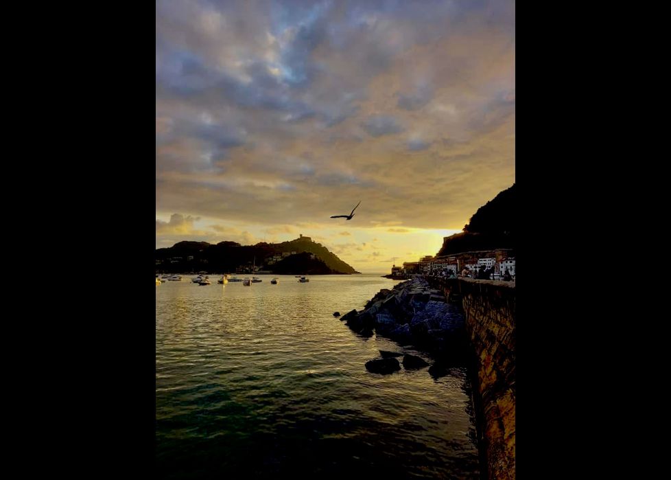 Una puesta de sol es siempre buena opción la gabiota también se une 