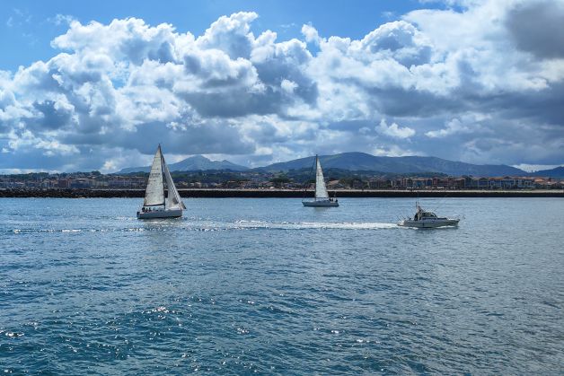 Unos vienen y otros van