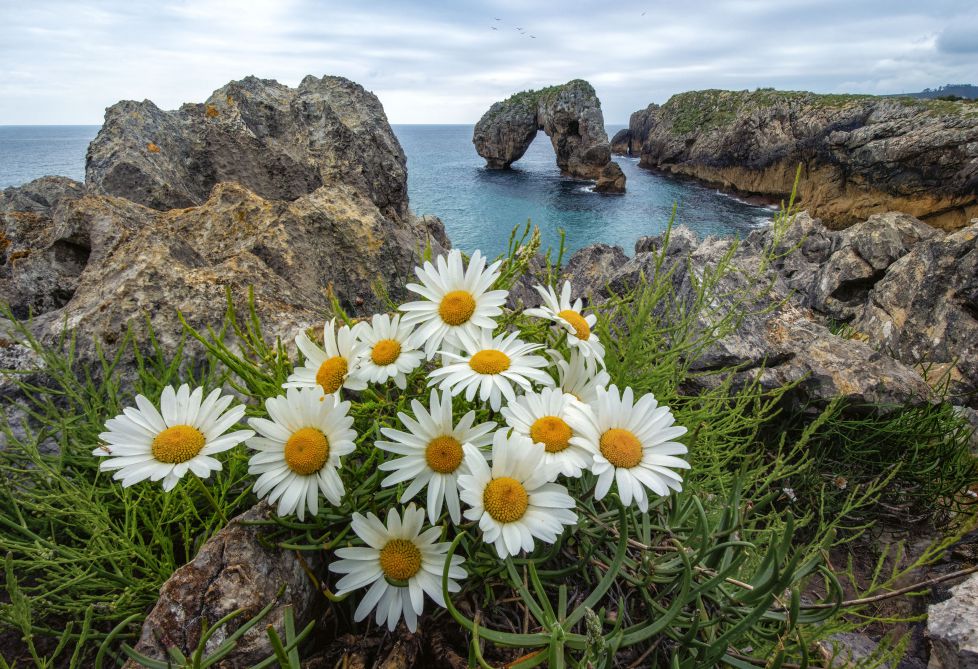 Vacaciones en Asturias