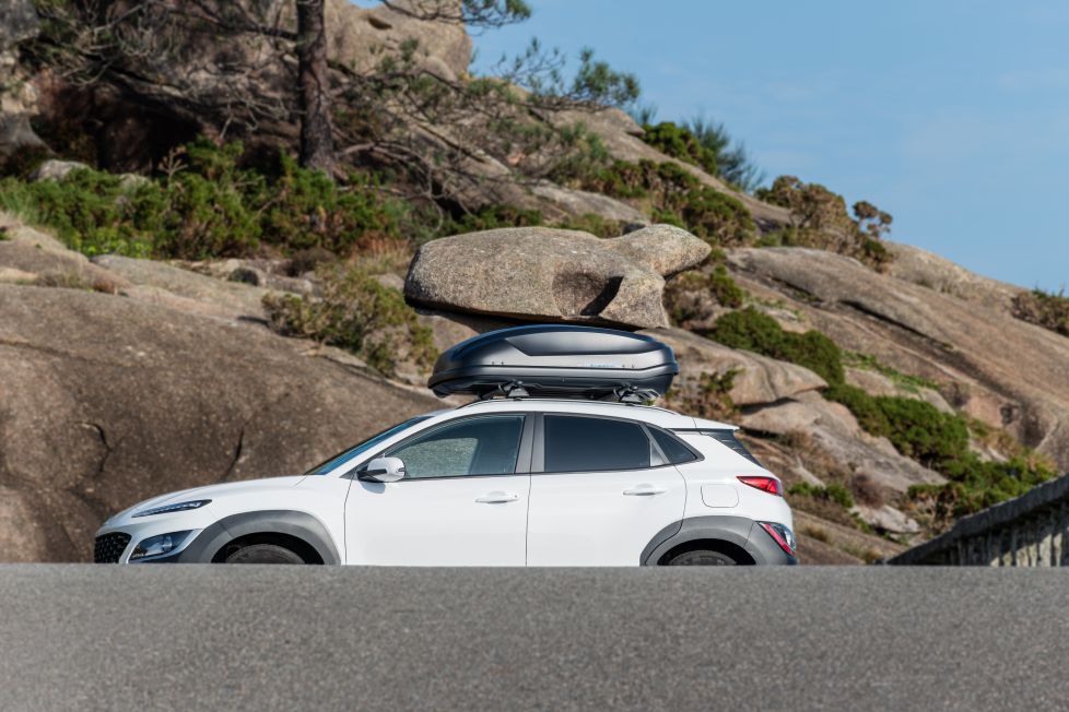 Vacaciones con mascota