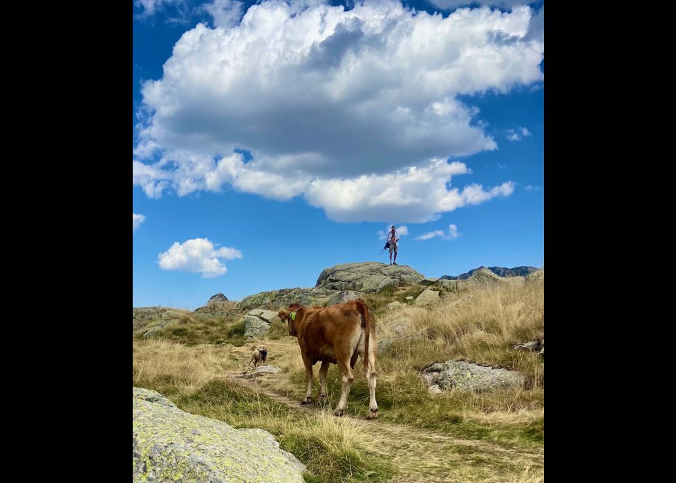 Vacaciones con vaca - Pirineos