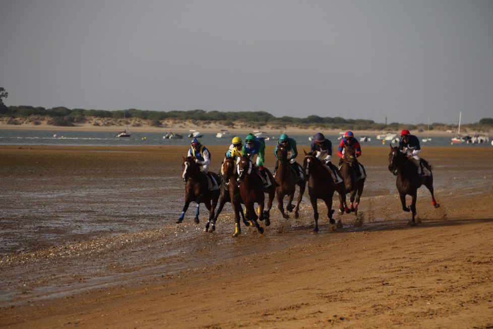 CARRERA DE CABALLOS