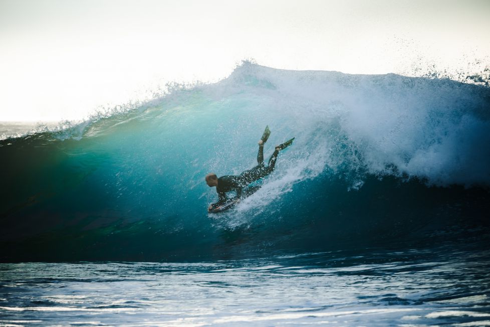 Cautivadora Simbiosis