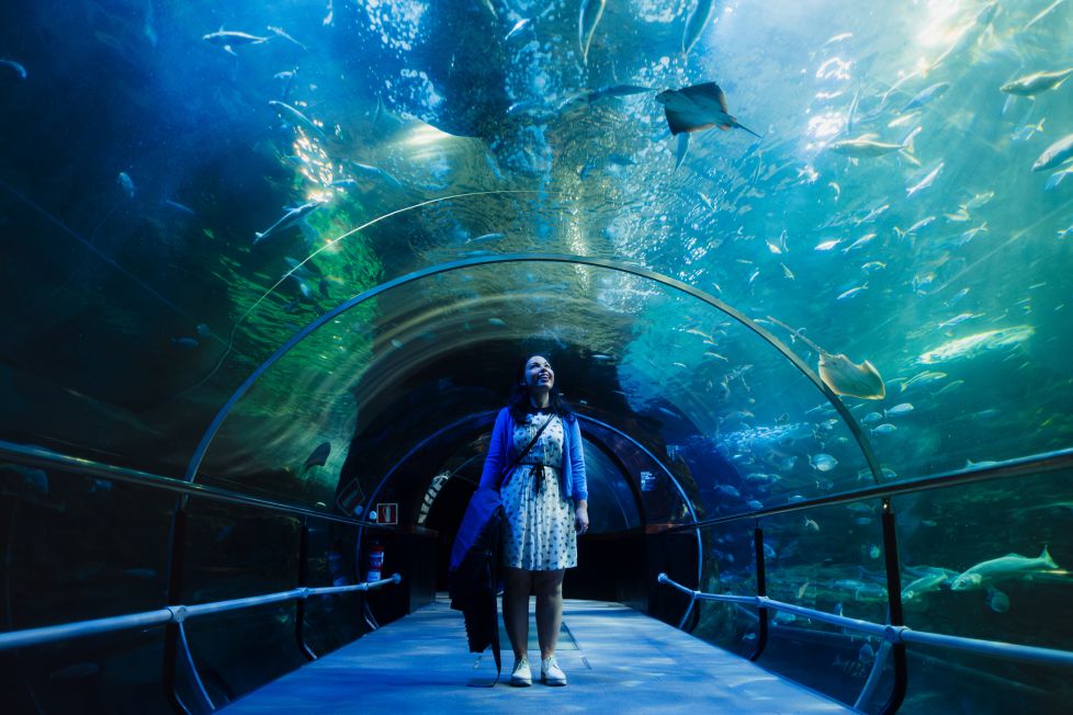 Cumpleaños en el acuario