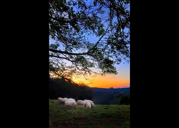 Erdoiztako illunabarra