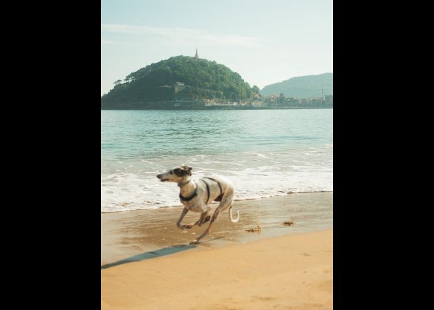 Planes que me explosionan