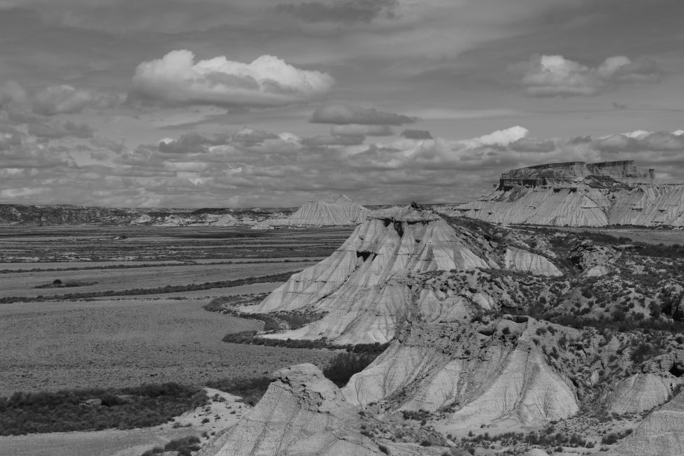 La vida no solo se ve a color