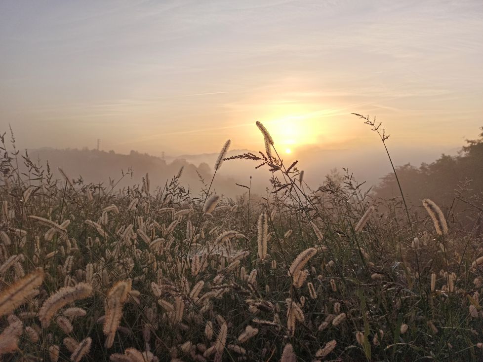 Amanece, que no es poco.