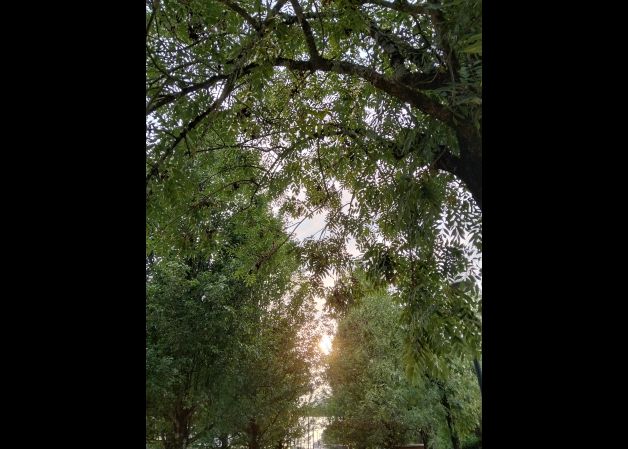 Atardecer