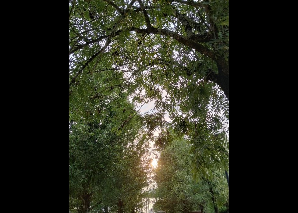 Atardecer