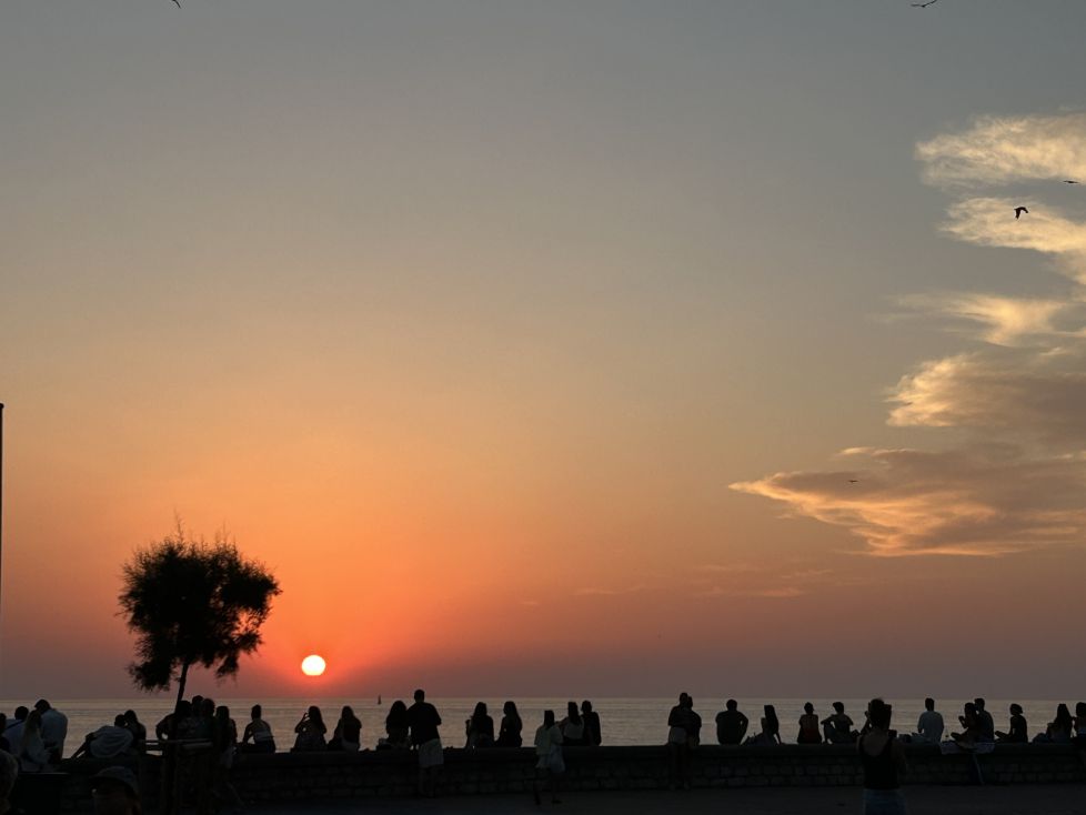 Atardecer en buena compañía 
