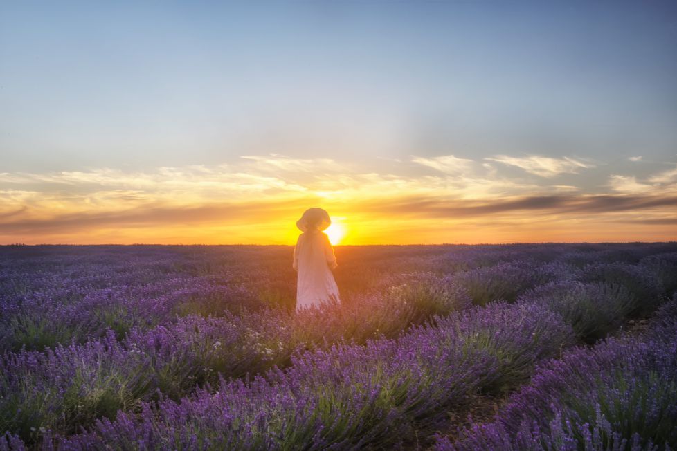 UN ATARDECER CON OLOR A LAVANDA