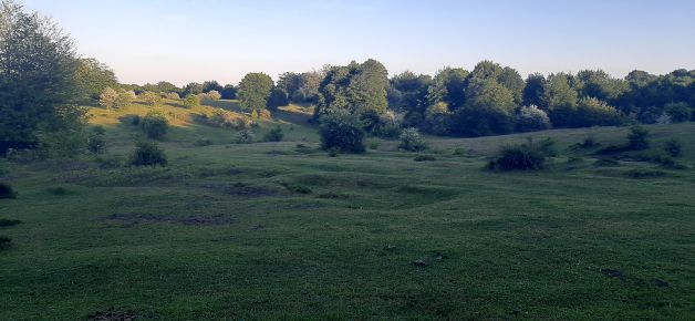 Como un gran campo de golf.