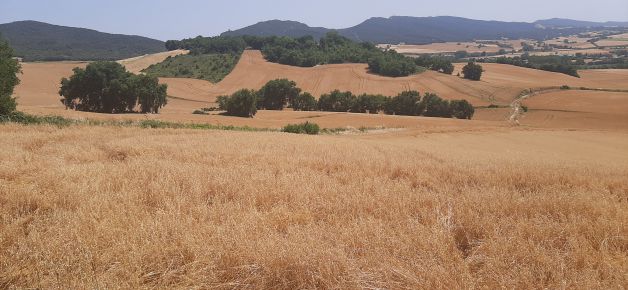 Como en la Toscana.