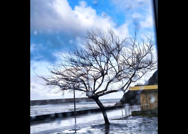 Contra viento y marea.