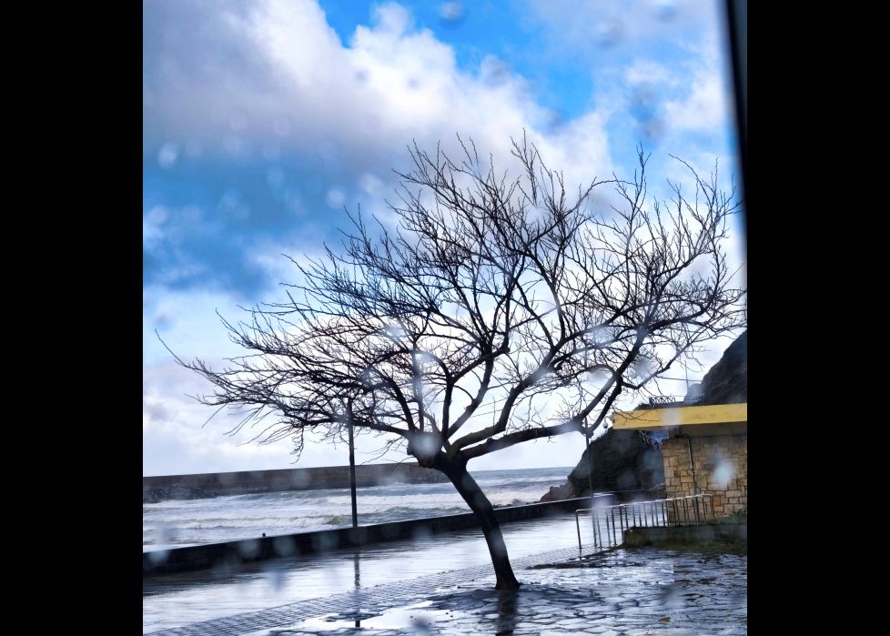 Contra viento y marea.