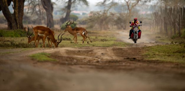 Un cruce inesperado