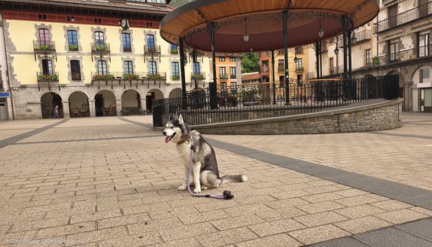 DANKO en la plaza