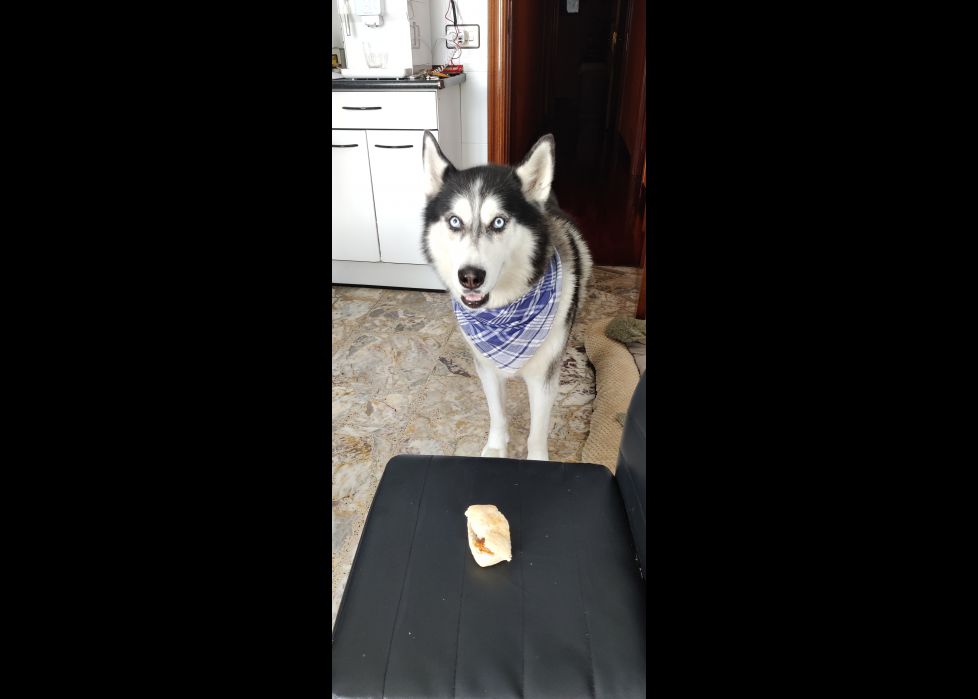Danko posando