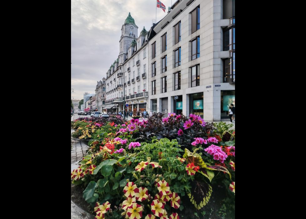 FLORES EN LA CIUDAD
