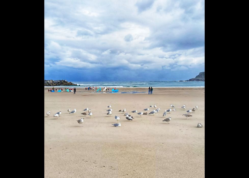 Guardianas de la playa