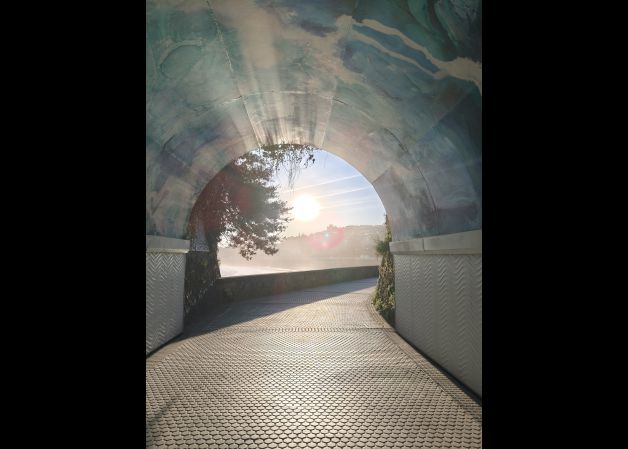 Hacia la luz 