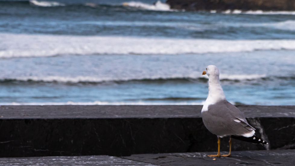 mirando al mar !!