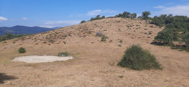Monte Urbina.