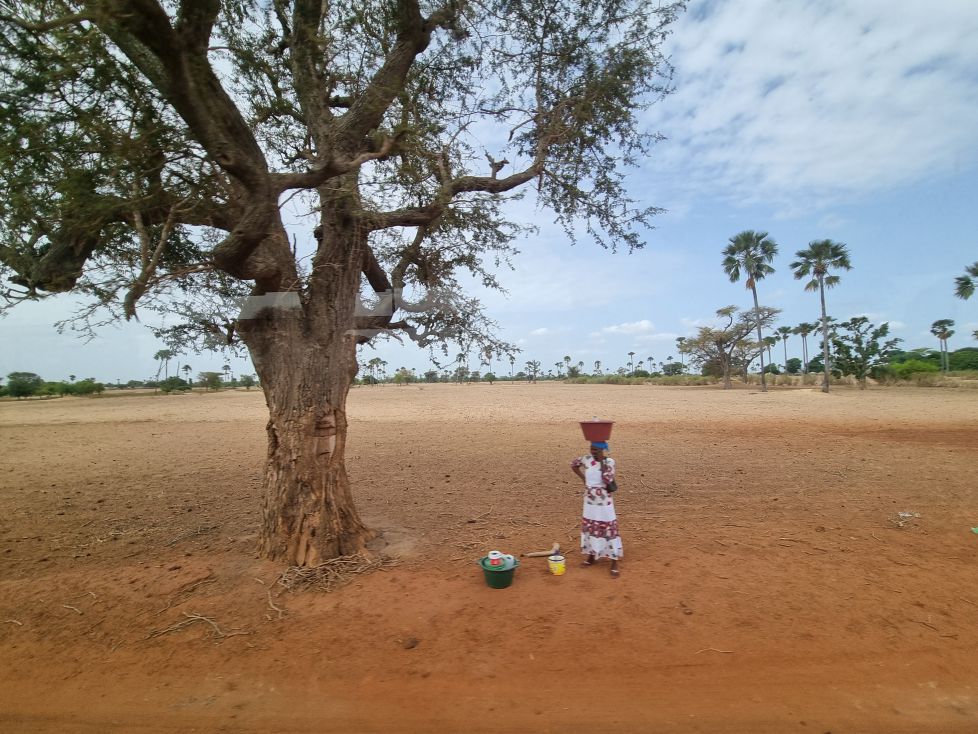 Mujer africana