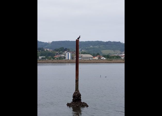Oteando el horizonte