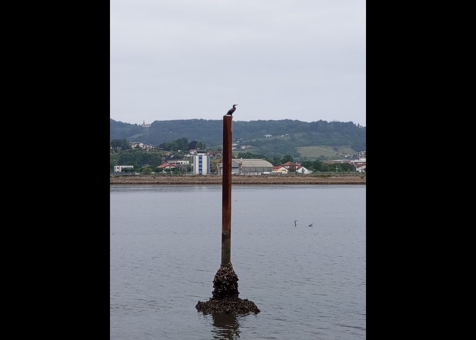 Oteando el horizonte