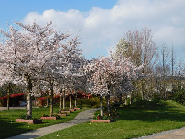 Un parque relajante.