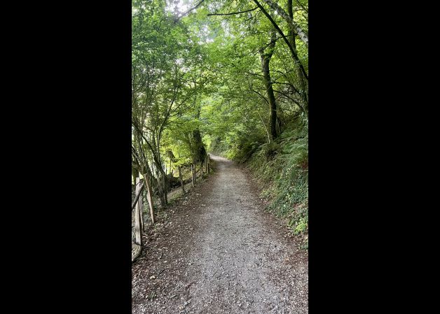 Mi paseo 