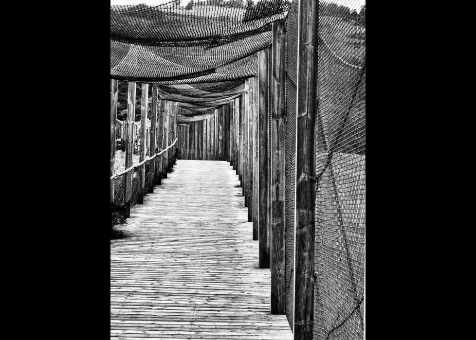 Paseo protegido.
