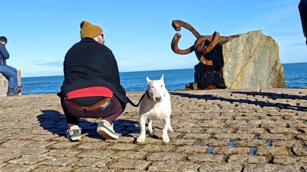 EL PEINE Y EL PERRO