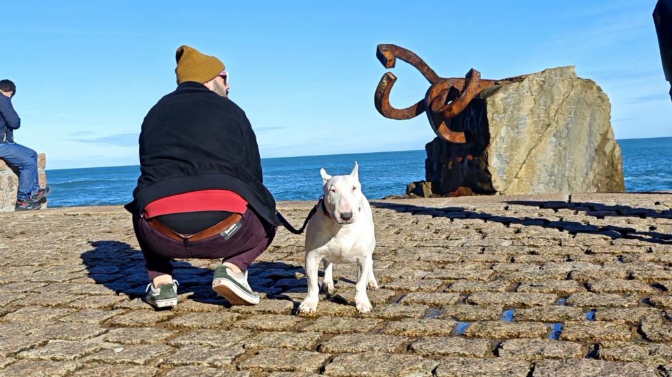EL PEINE Y EL PERRO