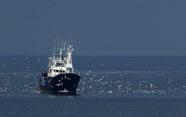 De pesca