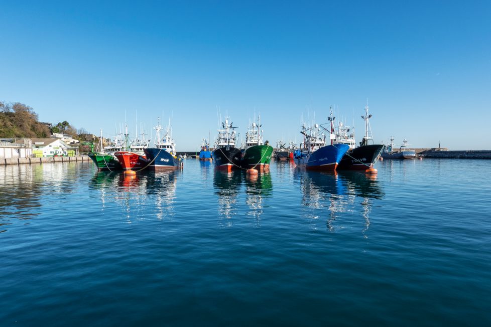 Pesqueros