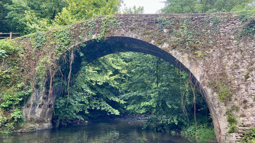 Mi puente 